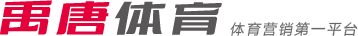 导致球队节
